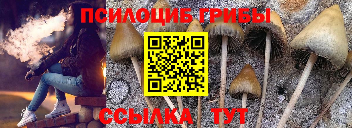 Галлюциногенные грибы GOLDEN TEACHER Дзержинск