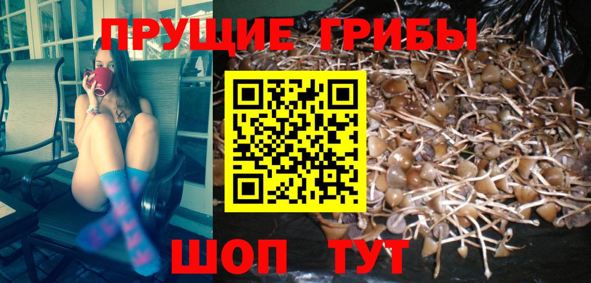 Галлюциногенные грибы прущие грибы  Вход с VPN  Дзержинск 